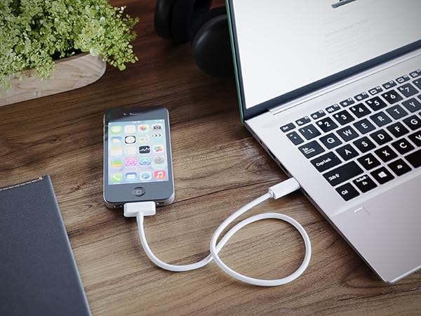 USB C 30 Pin
