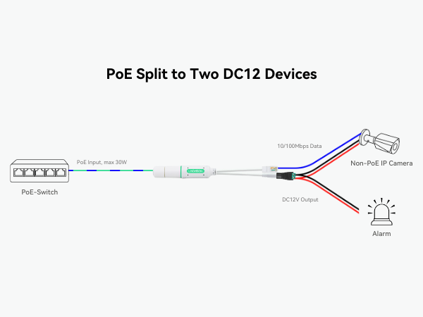 Two DC12V Devices
