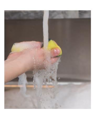 rinsing sponge