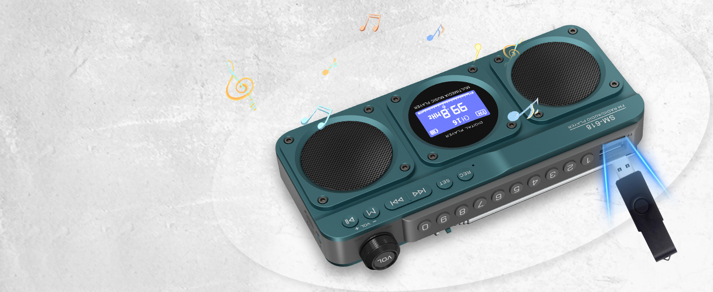 FM Bluetooth Speaker