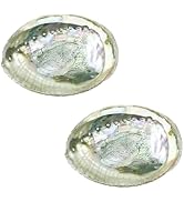 2Pcs Colorful Fashionable Large Abalone Shell Bowl, 4-4.5 Inch Exquisite Natural Sea Shell Smudge...