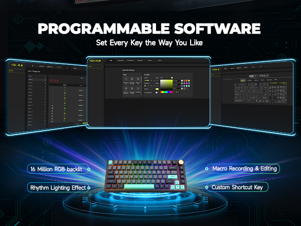 PROGRAMMABLE SOFTWARE