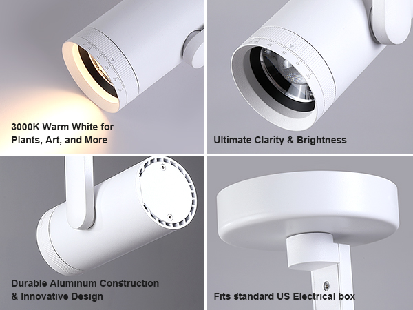 Product Details Display