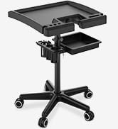 TASALON Salon Tray on Wheels, Hairstylist Rolling Carts with Wheels and Drawers, Hair Salon Cart ...