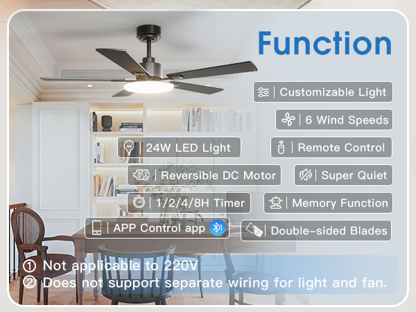 ceiling fan with multiple function