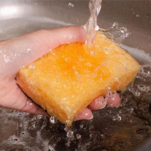 Okleen sponges