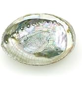 Colorful 4-4.5 Inch Large Abalone Shell Bowl Natural Smudge Bowl for Sage Burning and Incense Sea...