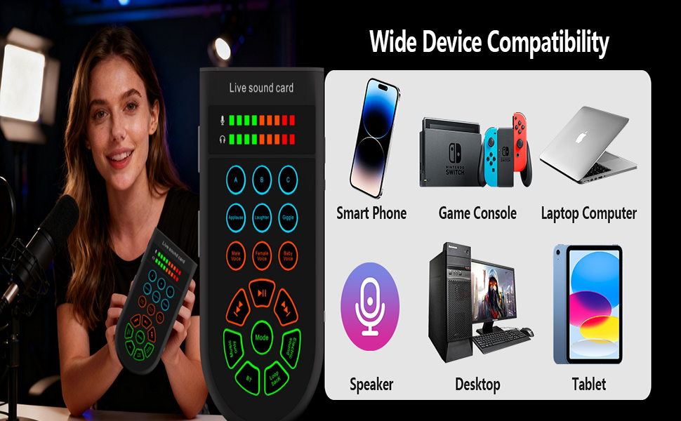 voice changer sound card