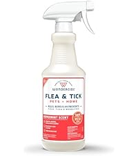 https://m.media-amazon.com/images/I/313Uaub5FwL.__AC_SR200,225___.jpg