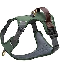 https://m.media-amazon.com/images/I/41782FBKTpL.__AC_SR200,225___.jpg