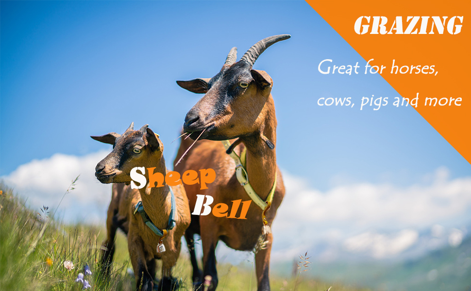 sheep bell