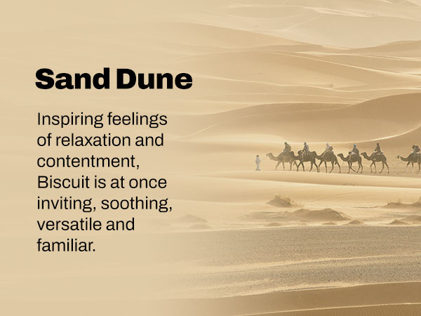 Sand Dune