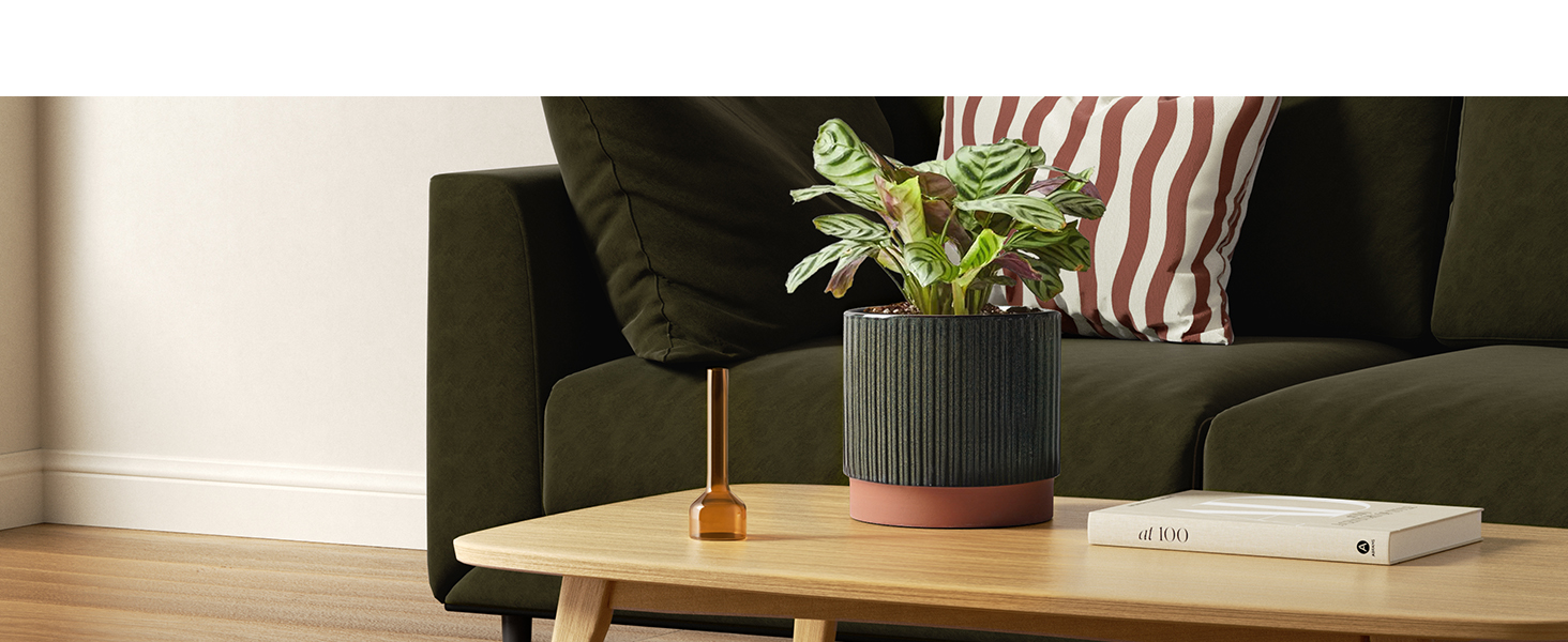 large planters