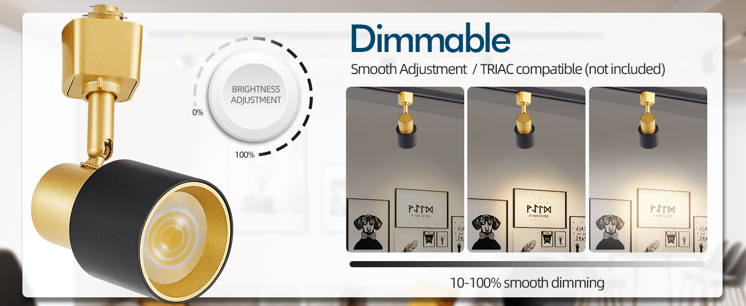 dimmable track lighting heads