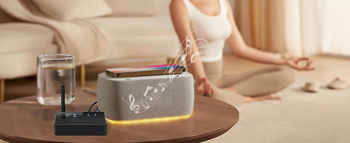 Bluetooth Transmitter Receiver