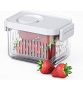 vacane Fruit Storage Containers for Fridge 3.8 Cup, Produce Containers with Colanders, Dishwasher...