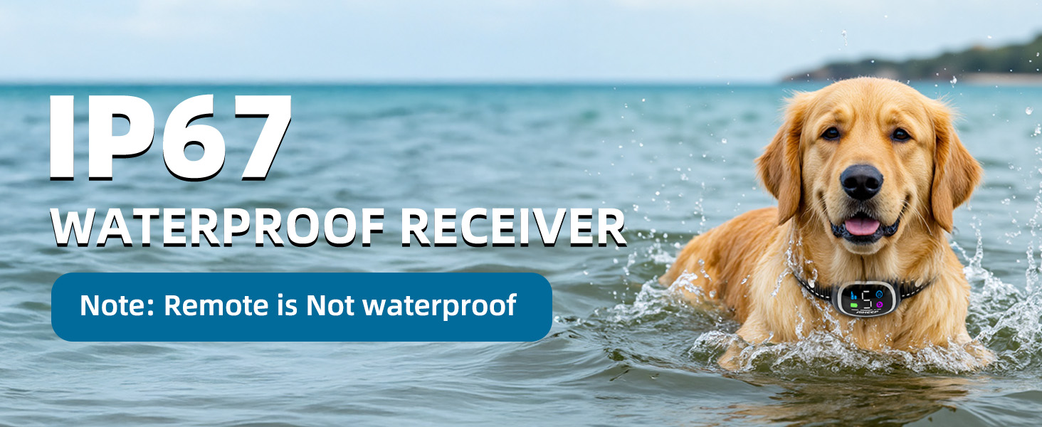 IP67 Waterproof Receiver
