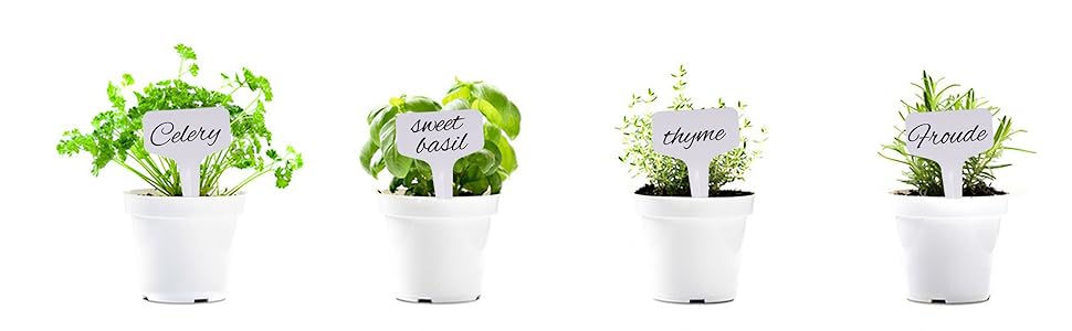 plant tags