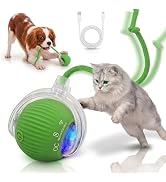 Fluffy cat looking at a glowing automatic cat toy ball.