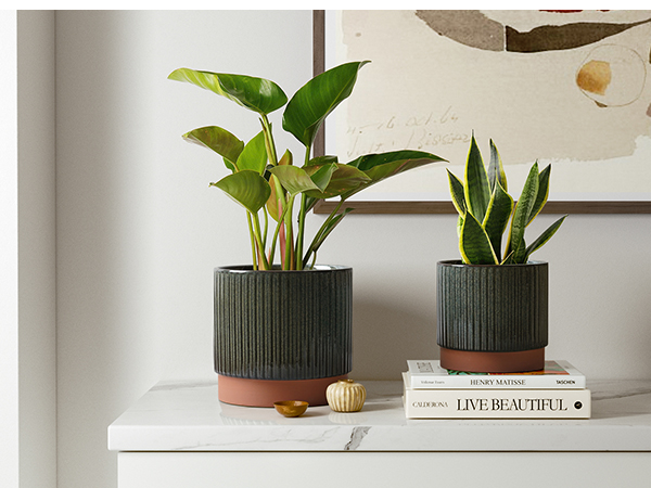 large planters