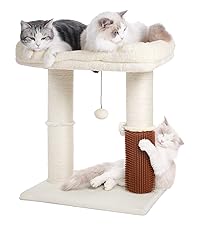 https://m.media-amazon.com/images/S/aplus-media-library-service-media/301696f1-f8a2-4980-87f3-d3002b040723.__CR111,0,1778,2000_PT0_SX200_V1___.jpg