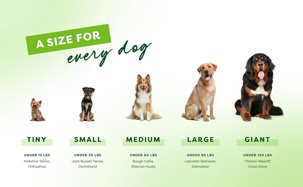 dog toys for small dogs, dog toys for medium dogs, dog toys for large dogs