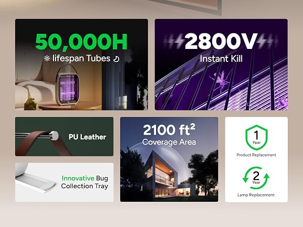 moth advion control bite refills pest para pit oil candles salt infestation mice outside madea