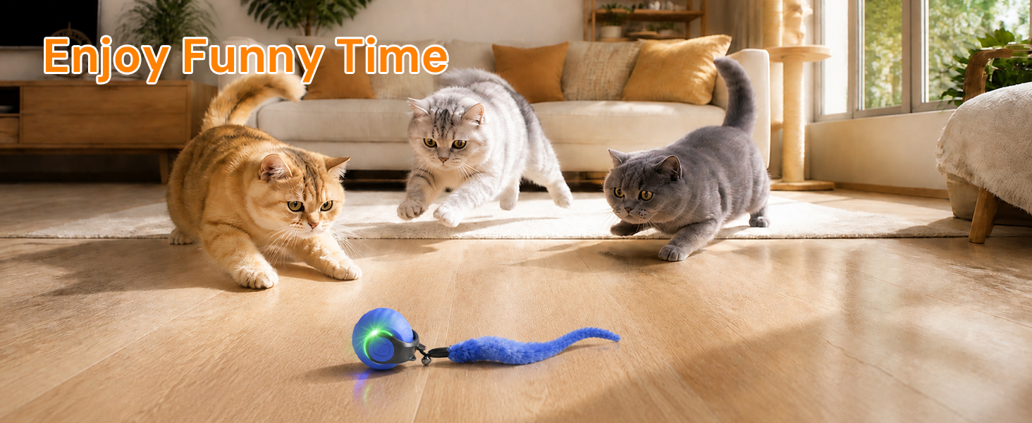 cat toys automatic