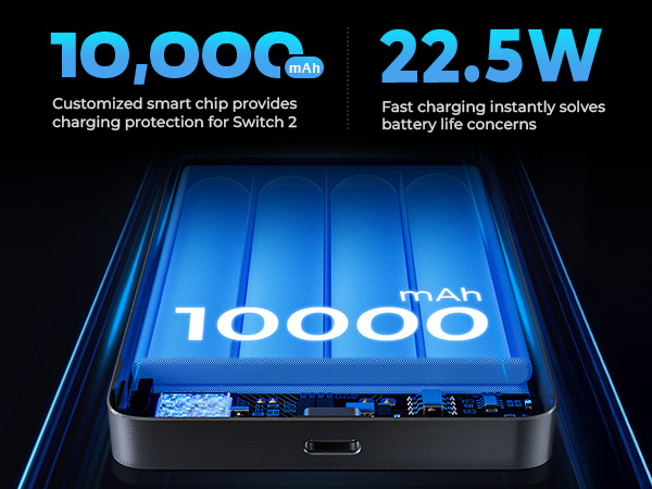 switch 2 travel case