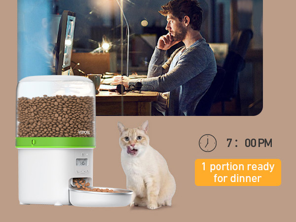 automatic cat feeder automatic cat food dispenser automatic pet feeder