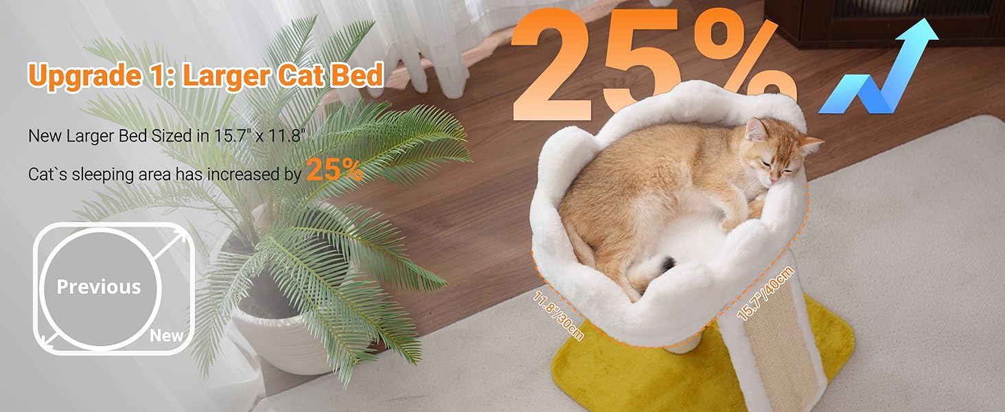 larger cat bed