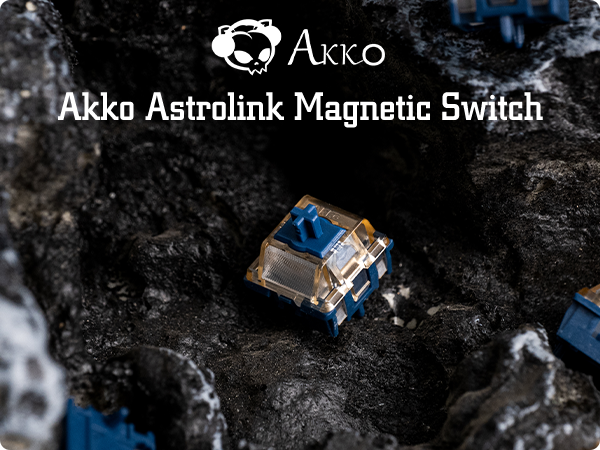 Astrolink Magnetic Switch