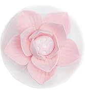 Passive Oil Diffuser for Essential Oil-Non-Electric Porcelain Aromatherapy Diffusers for Small Mi...