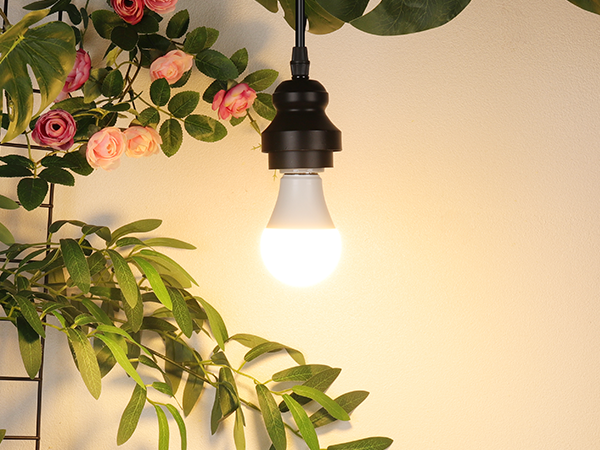 A19 LED Light Bulb