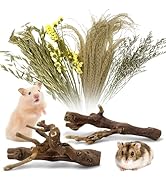 Apatal 2Pcs Hamster Climbing Branches Decor 7.8in Rat Tree Logs Toy Wooden Gerbil Habitat Ornamen...