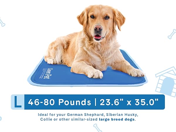 cool pet pad