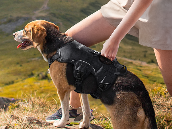 dog harness no escape