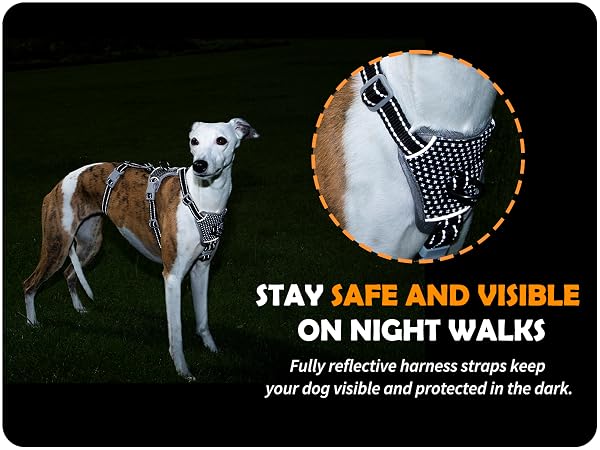 escape proof dog harness
