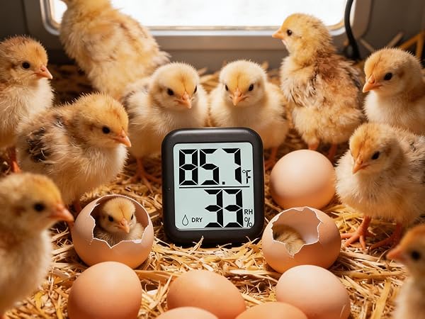 room thermometer