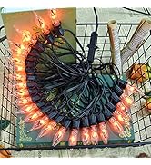 PASUTO 27.8Ft Halloween Decor Lights Flickering Flame String Lights with 25+4 Pack Clear Glass Fl...