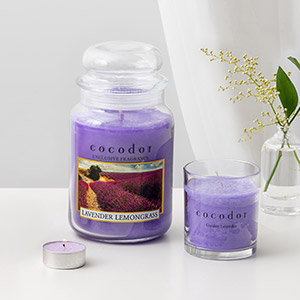 cocodor large jar candle