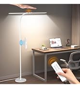 Syrinx LED Floor Lamp, Double Head Gooseneck Floor Lamps for Living Room with Gesture Switch & Re...