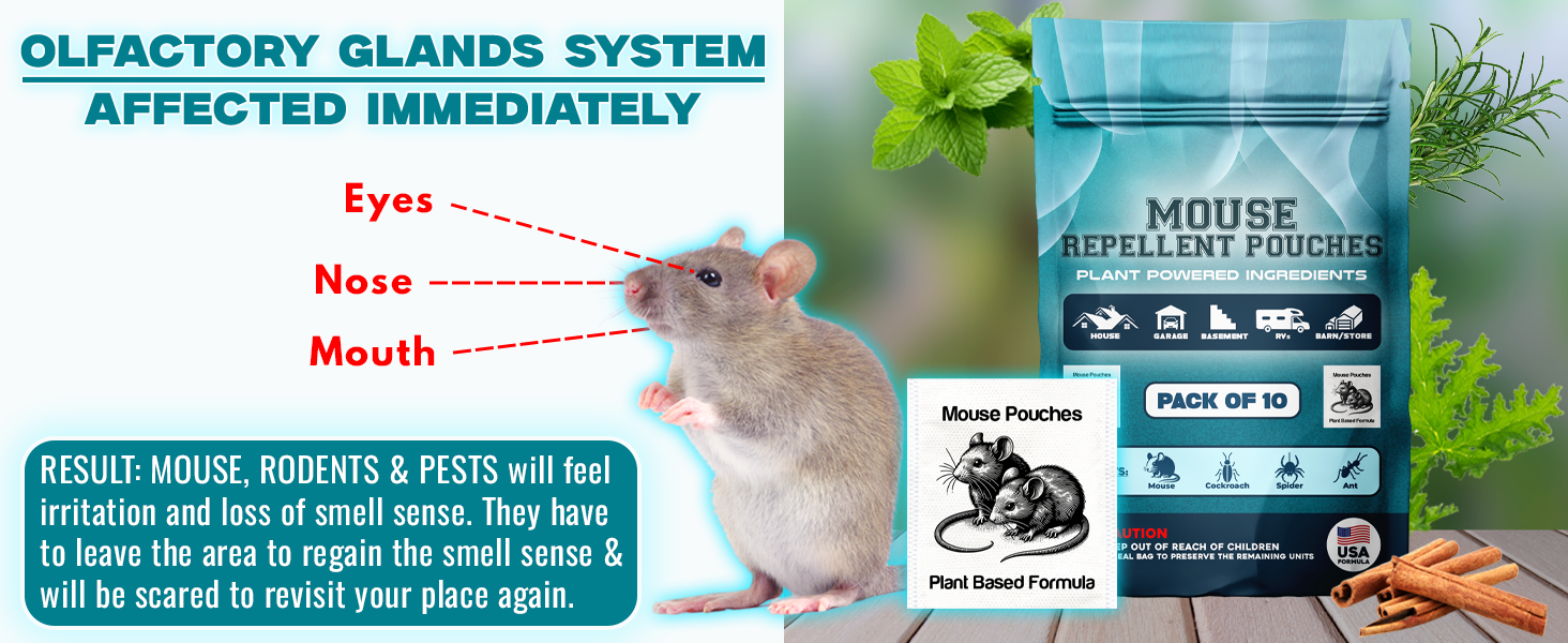 Mouse Repellent Pouches