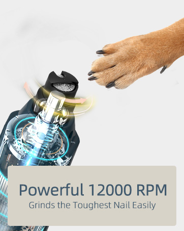 12000 RPM B