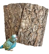 Apatal Cork Bark Perch for Birds 12
