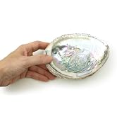 1pc Colorful Fashionable Large Abalone Shell Bowl,4-4.5 Inch Exquisite Natural Sea Shell Smudge B...