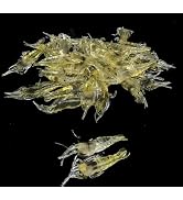 10 Pcs Simulation Fake Bait Grass Shrimp Lures 4cm Soft Shrimp Bait Fishing Gear Cost-Effective C...