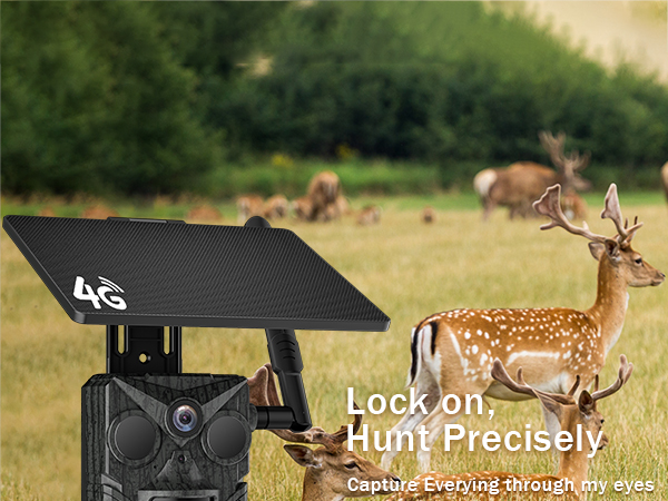 trail camera