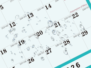 Academic Wall Calendar