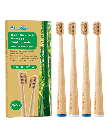 boar toothbrush
